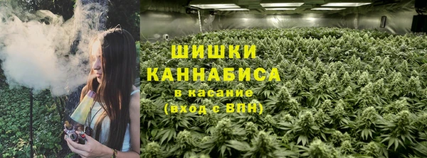 прущие грибы Абдулино