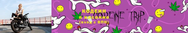 прущие грибы Абдулино