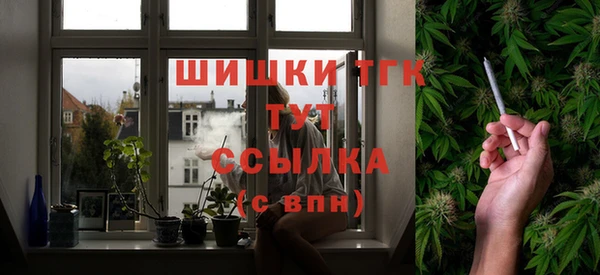 прущие грибы Абдулино