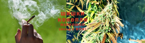 прущие грибы Абдулино