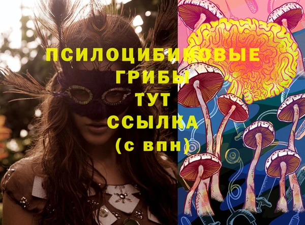 ГАЛЛЮЦИНОГЕННЫЕ ГРИБЫ Алексин