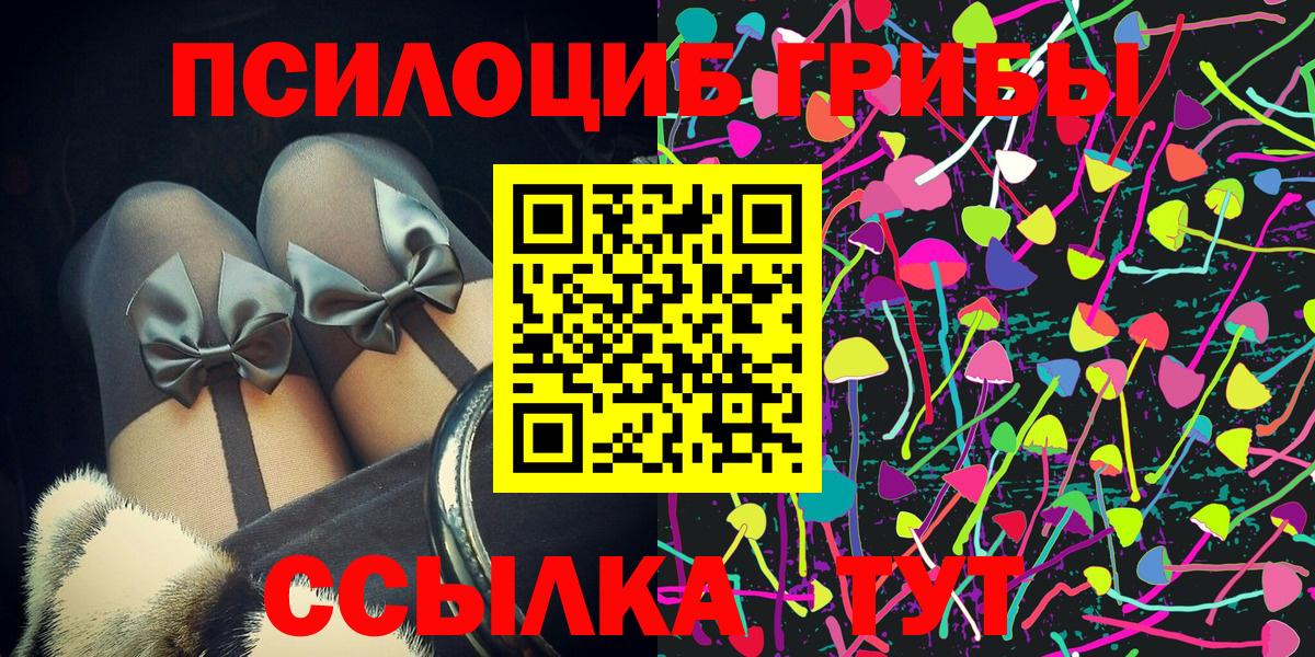 Зеленогорск  Псилоцибиновые грибы мухоморы  Вход с VPN 
