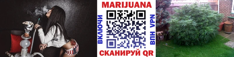 закладки Зеленогорск Бошки марихуана планчик